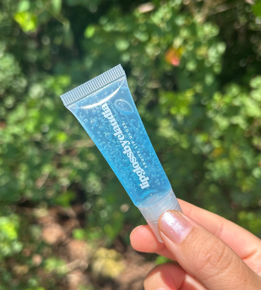Fruity Lip Gloss - Blueberry